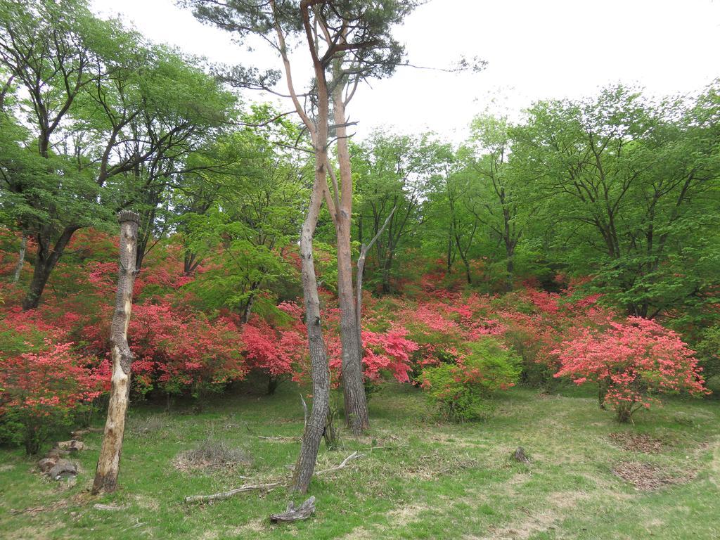 Nikko Pension L'Escale Buitenkant foto