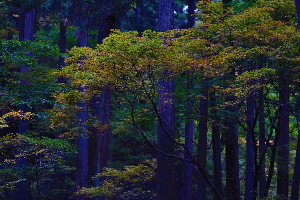 Nikko Pension L'Escale Buitenkant foto